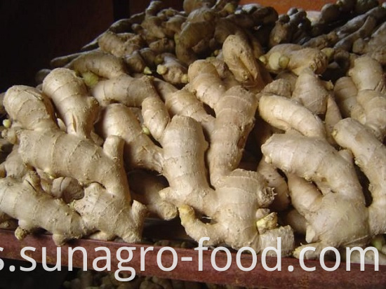 Big High Yield Air Dry Ginger